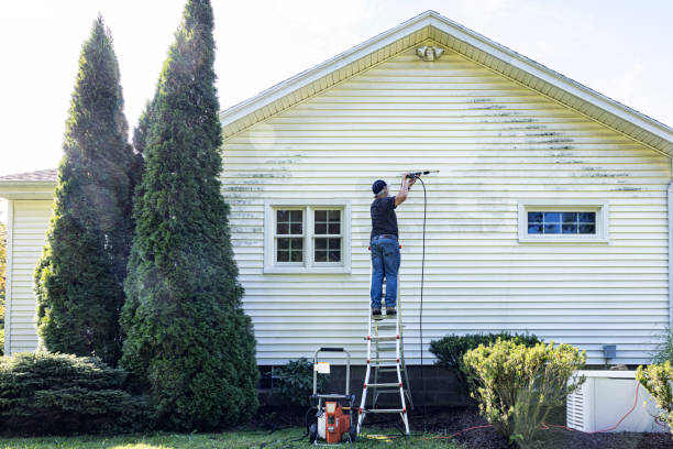 Best Roof Washing  in Buckingham, FL