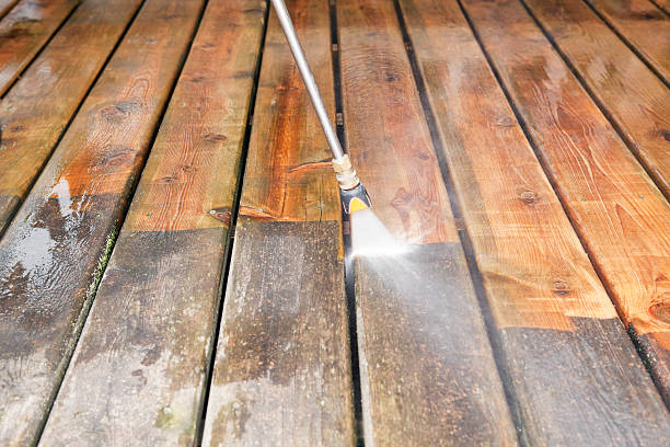 Best Driveway Pressure Washing  in Buckingham, FL